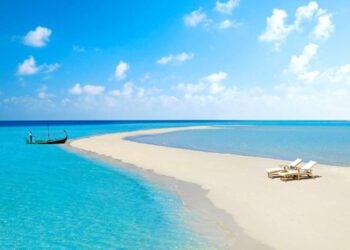 قرية اللوتس الساحل الشمالى