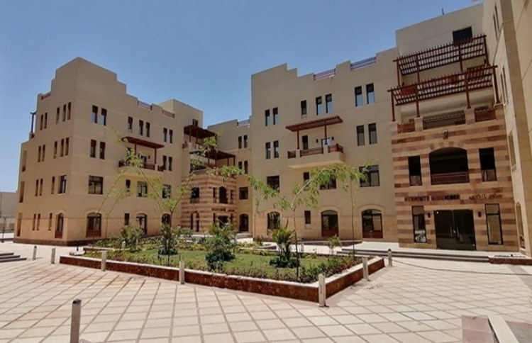 الجامعات الأهلية في مصر