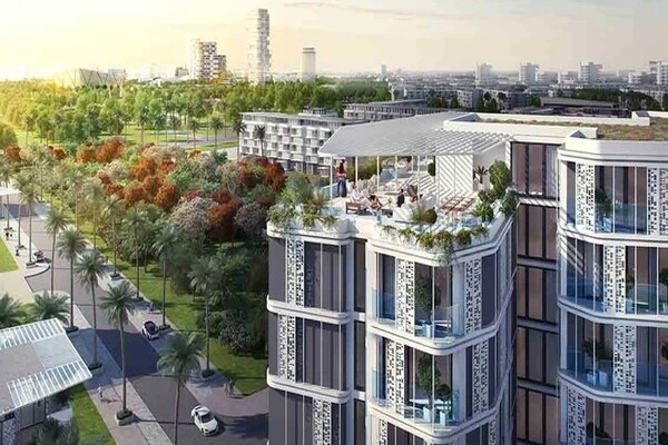 بادية بالم هيلز اكتوبر