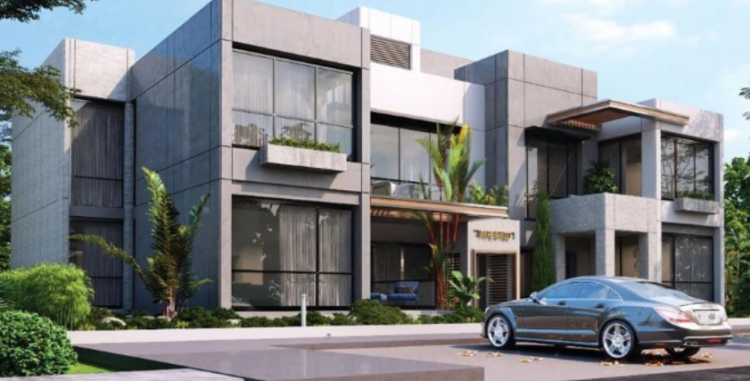 كيان الشيخ زايد