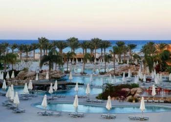 ستيلا دي ماري