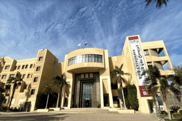 جامعة مصر الدولية